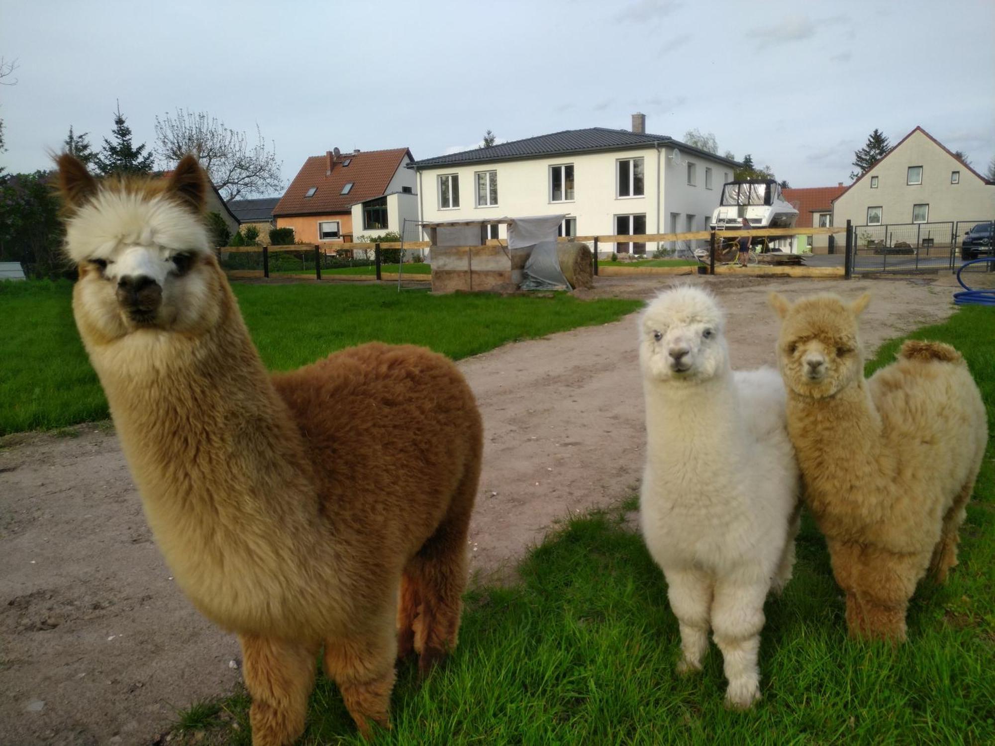 Ferienwohnung Beetzseeheide Ketzür Esterno foto